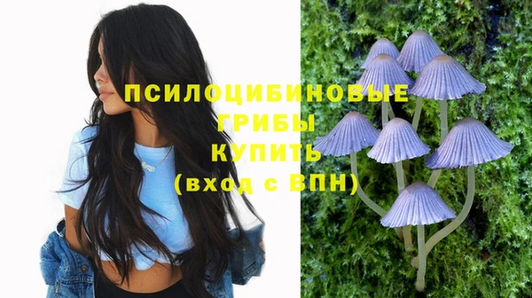 экстази Белокуриха