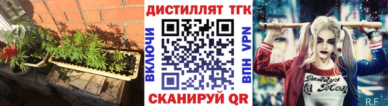 mega маркетплейс  Рыбинск  Дистиллят ТГК THC oil 